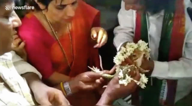 พิธีวิวาห์สุดแปลก! จับกบมาแต่งงานกัน ชาวบ้านเชื่อช่วยเรียกฝน