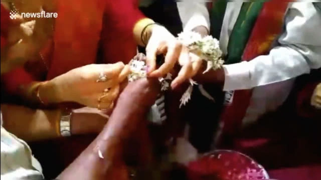 พิธีวิวาห์สุดแปลก! จับกบมาแต่งงานกัน ชาวบ้านเชื่อช่วยเรียกฝน