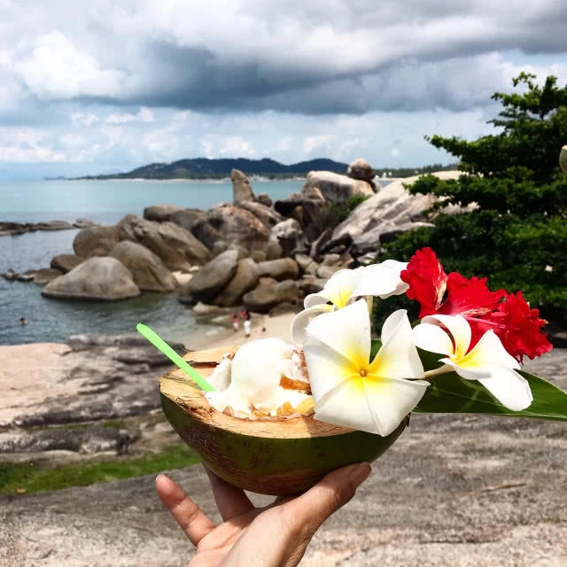 ที่นี่มีหมูทะเล!!! มาใช้ไลฟ์สไตล์ สุดชิคที่เกาะสมุยกันดีกว่า....