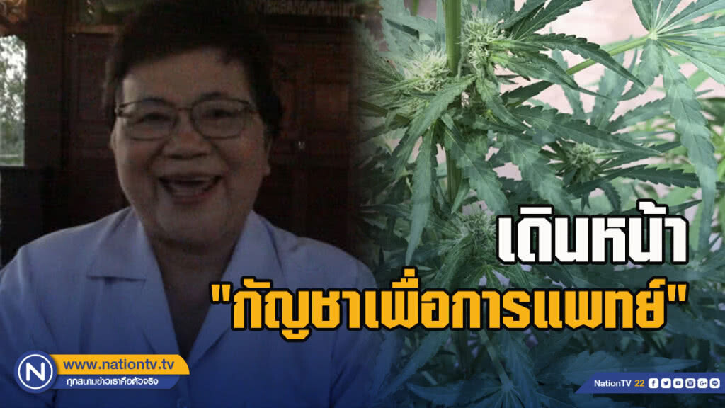 รพ.เจ้าพระยาอภัยภูเบศร เดินหน้า"กัญชาเพื่อการแพทย์"