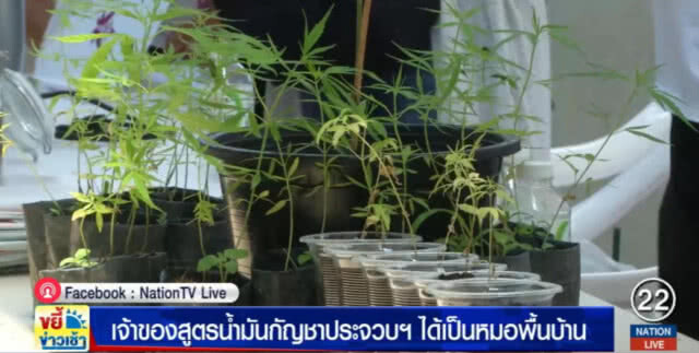 เจ้าของสูตรน้ำมันกัญชา "บุญมรกต" ได้เป็นหมอพื้นบ้านประจวบฯ