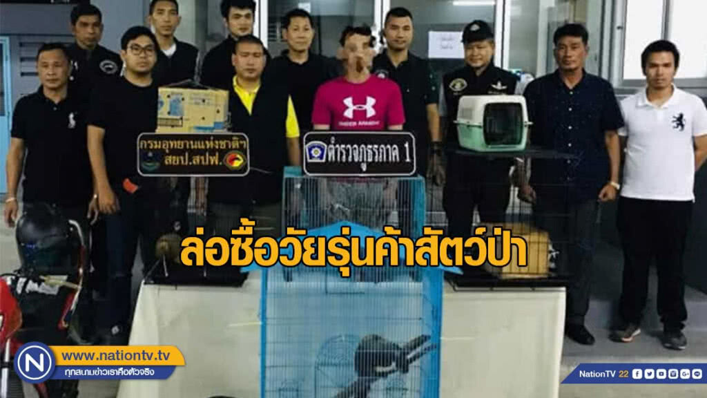 ล่อซื้อวัยรุ่นค้าสัตว์ป่าทางอินเทอร์เน็ต ล่อซื้อวัยรุ่นค้าสัตว์ป่าทางอินเทอร์เน็ต