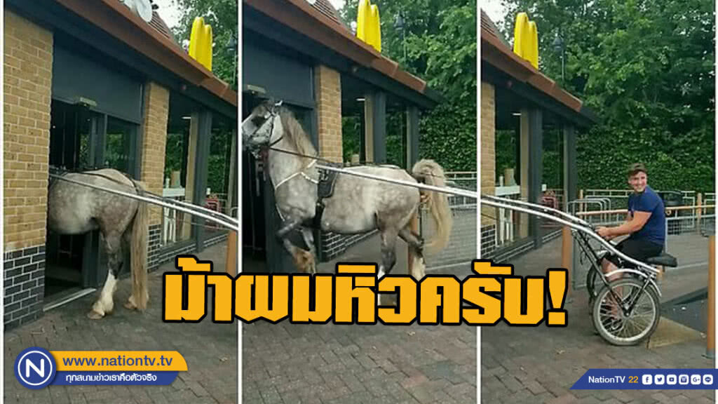 ม้าก็หิวเป็น! เดินเข้าร้านแมคโดนัลหน้าตาเฉย ม้าก็หิวเป็น! เดินเข้าร้านแมคโดนัลหน้าตาเฉย