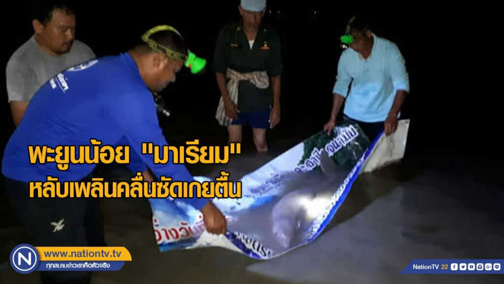 หลับเพลินมาเกยตื้นเร่งช่วย"มาเรียม"ลงสู่น้ำลึก หลับเพลินมาเกยตื้นเร่งช่วย"มาเรียม"ลงสู่น้ำลึก