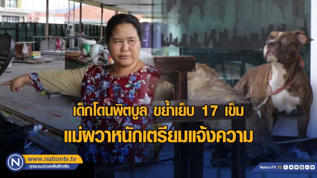 แม่เด็กโดนพิตบูลกัดผวาหนัก!! ...อยากให้นำหมาออกนอกพื้นที่ แม่เด็กโดนพิตบูลกัดผวาหนัก!! ...อยากให้นำหมาออกนอกพื้นที่