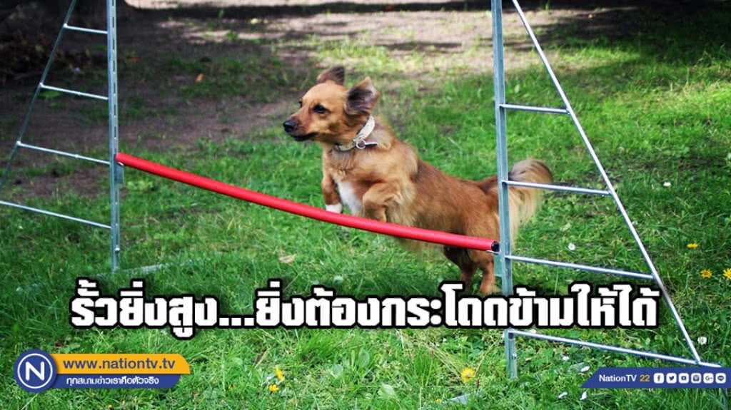 รั้วยิ่งสูง...ยิ่งต้องกระโดดข้ามให้ได้ รั้วยิ่งสูง...ยิ่งต้องกระโดดข้ามให้ได้