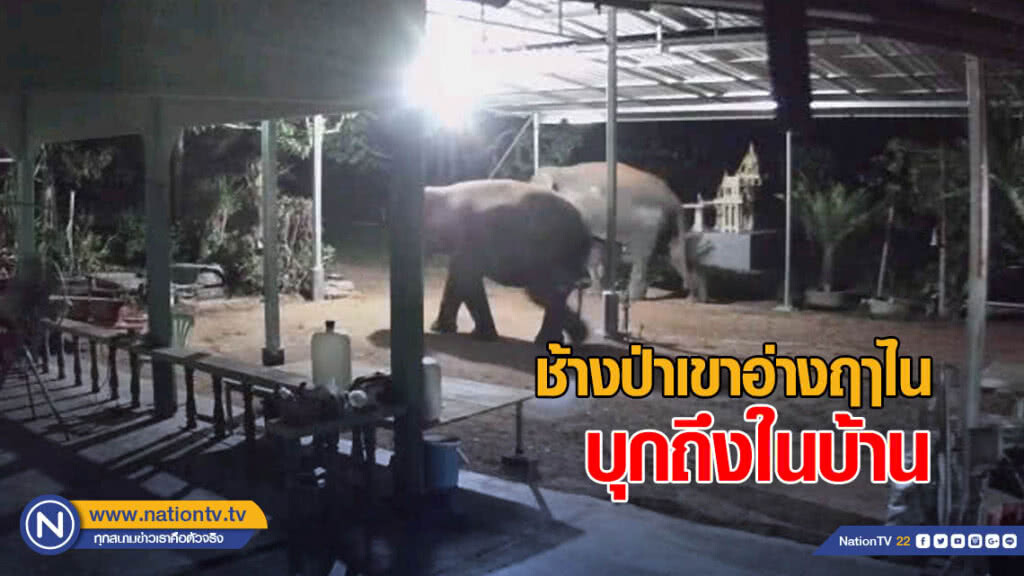 (คลิป) ช้างป่าเขาอ่างฤาไนบุกถึงในบ้าน (คลิป) ช้างป่าเขาอ่างฤาไนบุกถึงในบ้าน
