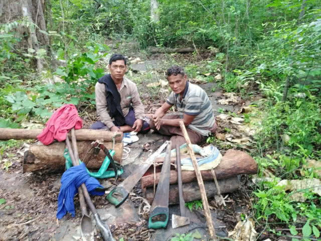 จับเขมรลักลอบตัดไม้พะยูงในฝั่งไทย