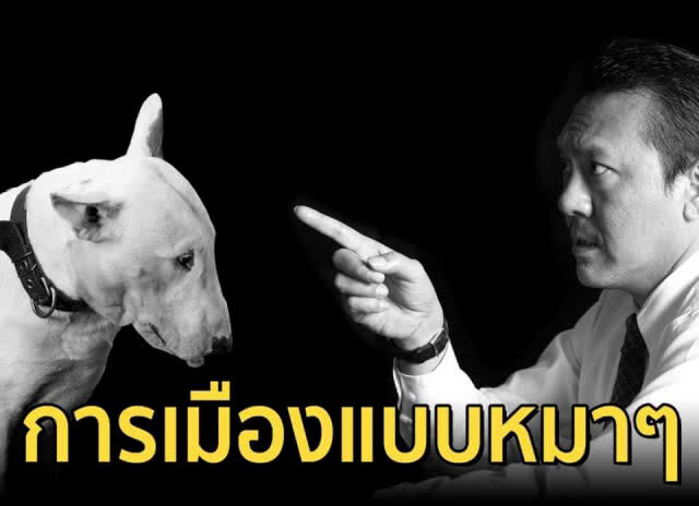 ชูวิทย์ โพสต์เดือด! หมาสู้นักการเมืองไม่ได้อยู่เรื่องเดียว คือ "หมาพูดไม่ได้"