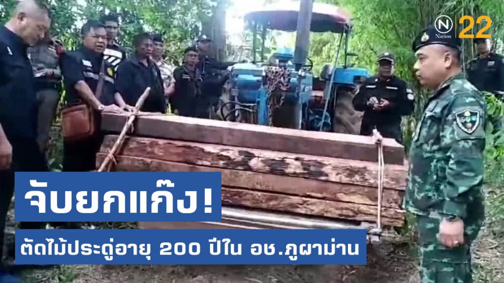 จับยกแก๊ง! ตัดไม้ประดู่อายุ 200 ปีใน อช.ภูผาม่าน