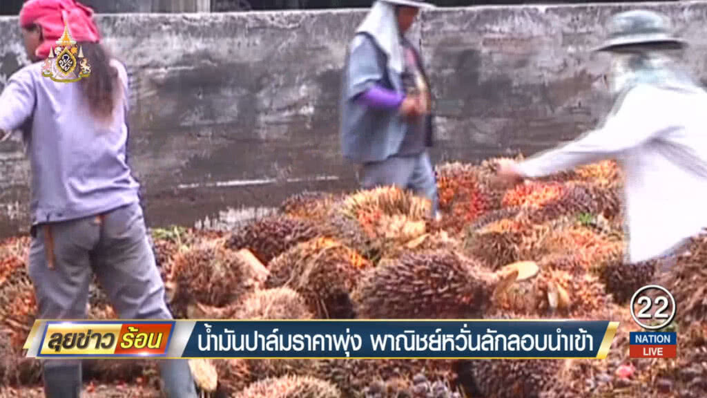 น้ำมันปาล์มราคาพุ่ง พาณิชย์หวั่นลักลอบนำเข้า น้ำมันปาล์มราคาพุ่ง พาณิชย์หวั่นลักลอบนำเข้า