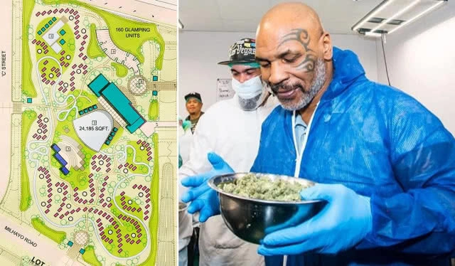 เส้นทางใหม่ "ไมค์ ไทสัน" จากสุดยอดมวย สู่ "Tyson Ranch" ธุรกิจพรีเมียม