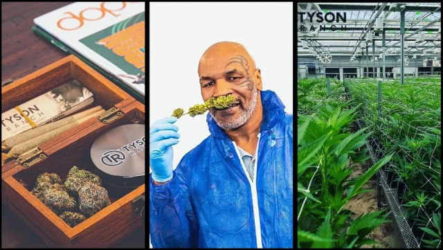 เส้นทางใหม่ "ไมค์ ไทสัน" จากสุดยอดมวย สู่ "Tyson Ranch" ธุรกิจพรีเมียม