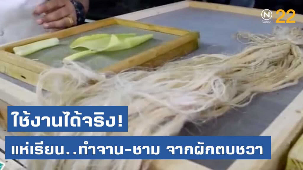 คนแห่เรียนทำจาน ชาม จากผักตบชวา เห็นใช้งานได้จริง
