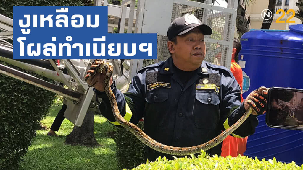 ระทึก!! งูเหลือมโผล่ทำเนียบฯ แจ้งกู้ภัยจับ วิจารณ์แซ่ด