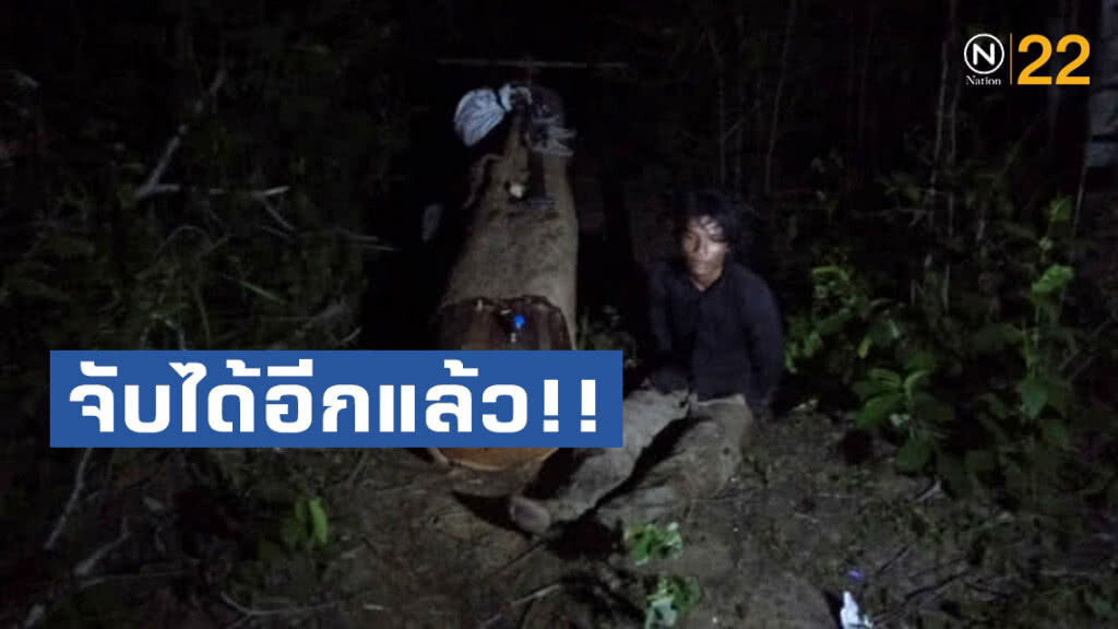 จับได้อีกแล้วชาวกัมพูชา ลักลอบตัดไม้ในฝั่งไทย