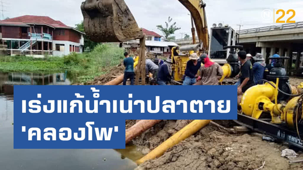 กรมชลฯ​ เร่งแก้น้ำเน่า​ปลาตาย​ 'คลองโพ'​ จ.อยุธยา​ คาดดีขึ้นใน​ 2​ วัน