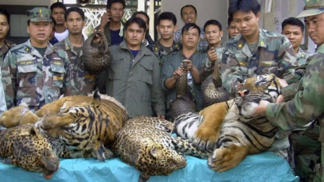 ทส. เร่งผลักดันไทยสู่ผู้นำอาเซียนด้านทรัพยากรธรรมชาติฯ