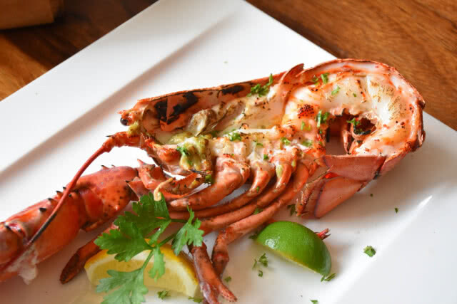 อร่อยปักหมุด : saturday brunch อิ่มไม่อั้น บอสตันล็อปสเตอร์ ที่ scalini โรงแรม ฮิลตัน กรุงเทพฯ
