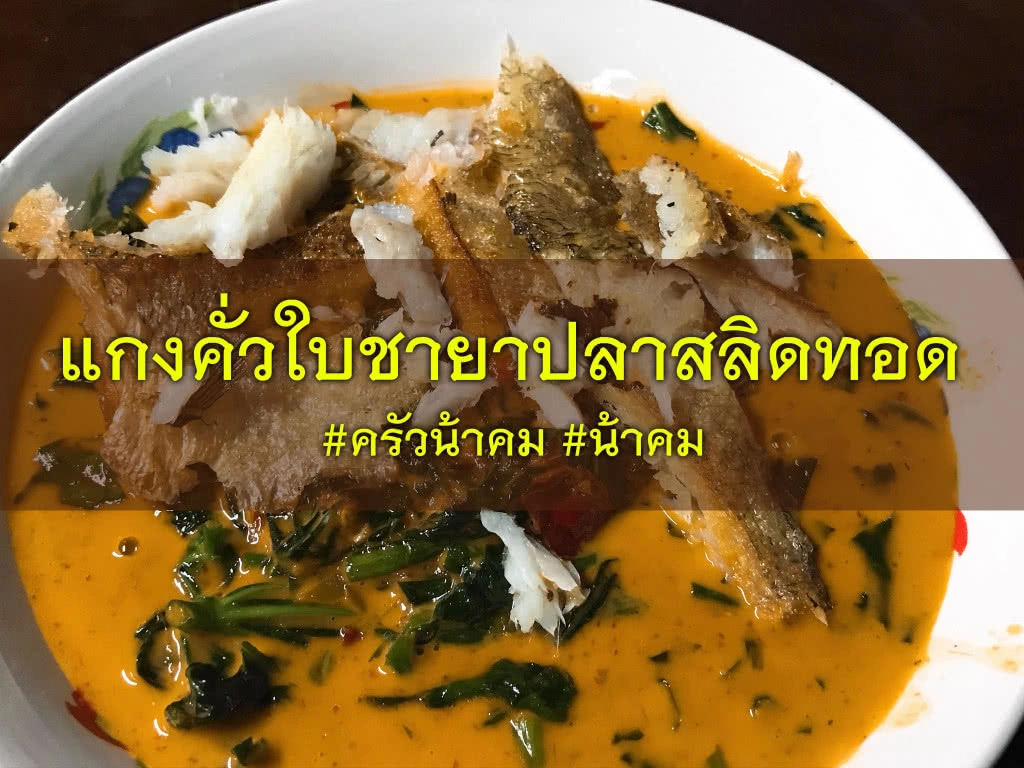 ครัวน้าคม : "แกงคั่วใบชายา ปลาสลิดทอด" ประโยชน์และสรรพคุณที่อยากให้คุณได้รู้จัก