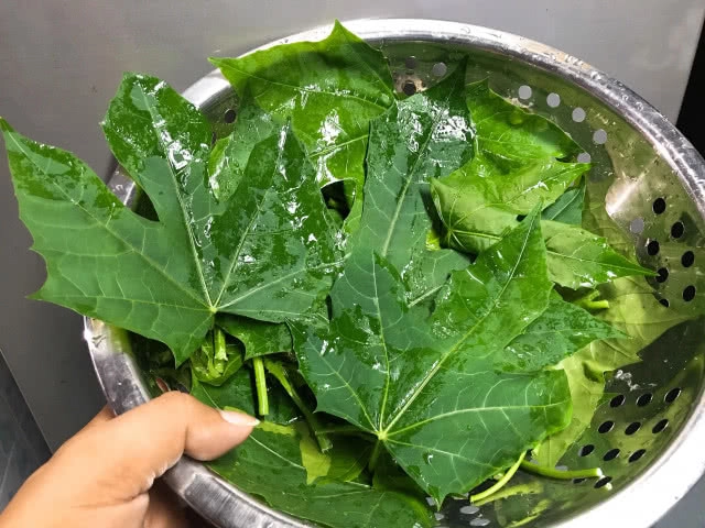 ครัวน้าคม : "แกงคั่วใบชายา ปลาสลิดทอด" ประโยชน์และสรรพคุณที่อยากให้คุณได้รู้จัก