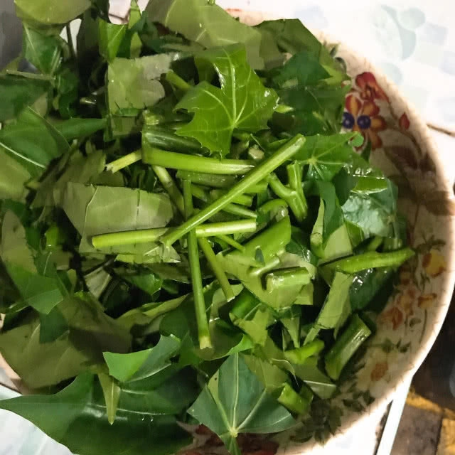 ครัวน้าคม : "แกงคั่วใบชายา ปลาสลิดทอด" ประโยชน์และสรรพคุณที่อยากให้คุณได้รู้จัก