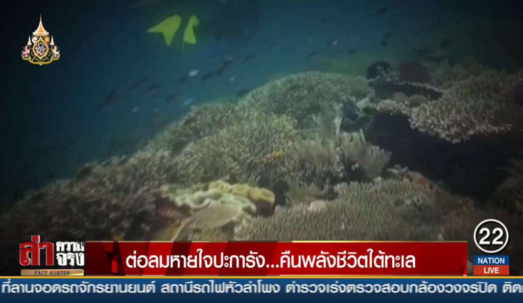 ต่อลมหายใจปะการัง... คืนพลังชีวิตใต้ทะเล