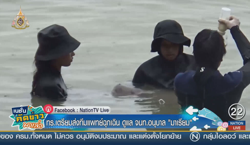 ทร.เตรียมส่งทีมแพทย์ฉุกเฉิน ดูแล จนท.อนุบาล "มาเรียม"