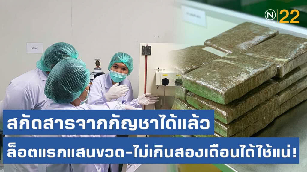 ผู้ป่วยเฮ! อภัยภูเบศร สกัดสารจากกัญชาได้ ไร้แคดเมียม ผู้ป่วยเฮ! อภัยภูเบศร สกัดสารจากกัญชาได้ ไร้แคดเมียม