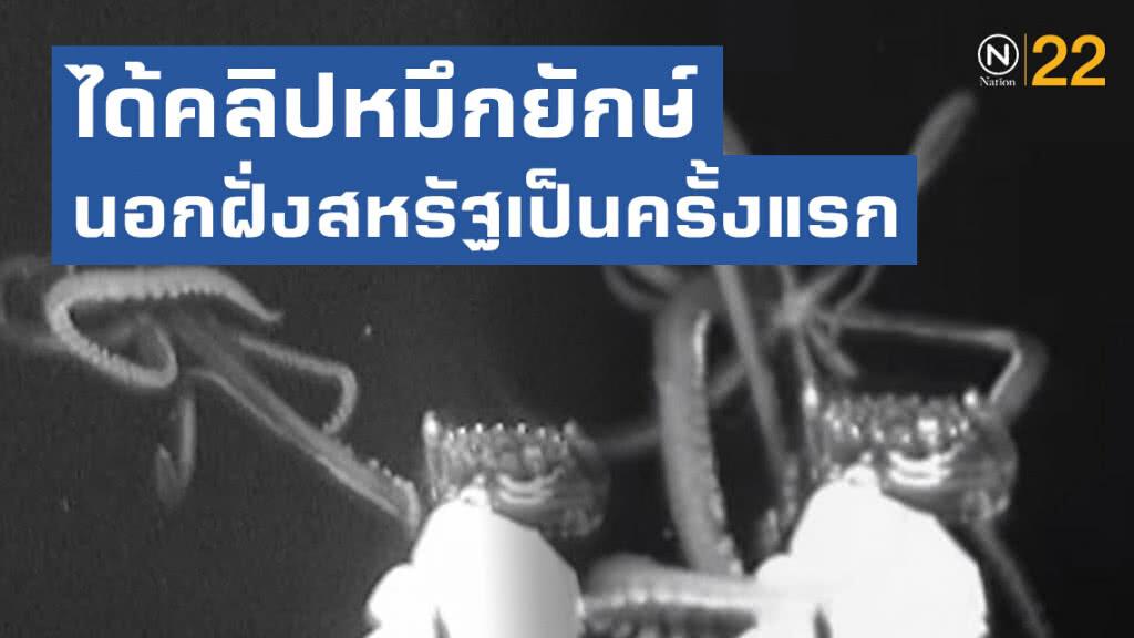 นักวิทย์ตื่นเต้นได้คลิปหมึกยักษ์นอกฝั่งสหรัฐเป็นครั้งแรก