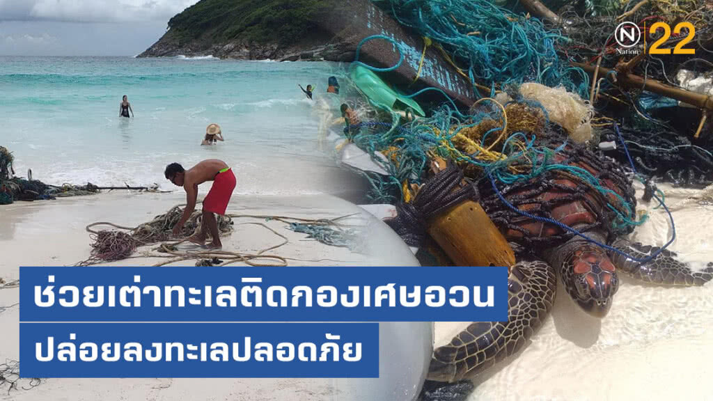 ช่วยเต่าทะเลติดอยู่ในกองเศษอวน