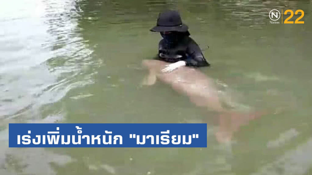 เร่งเพิ่มน้ำหนัก"มาเรียม" พร้อมฝึกให้ออกห่างจากคน