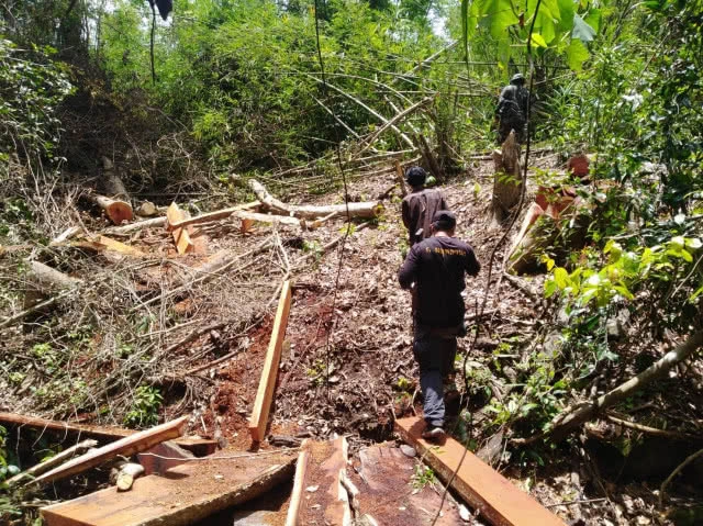 หน่วยSMART Patrol อช.ภูจองนายอย จับชาวกัมพูชาลักลอบตัดไม้