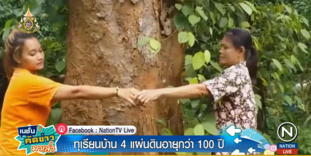 เซ่นไหว้!....ทุเรียน 4 แผ่นดิน อายุนับร้อยปี ขอให้ได้ผลเพิ่มมากขึ้น