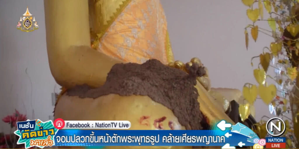 ชาวบ้านแตกตื่น จอมปลวกขึ้นตักพระพุทธรูป คล้ายเศียรพญานาค