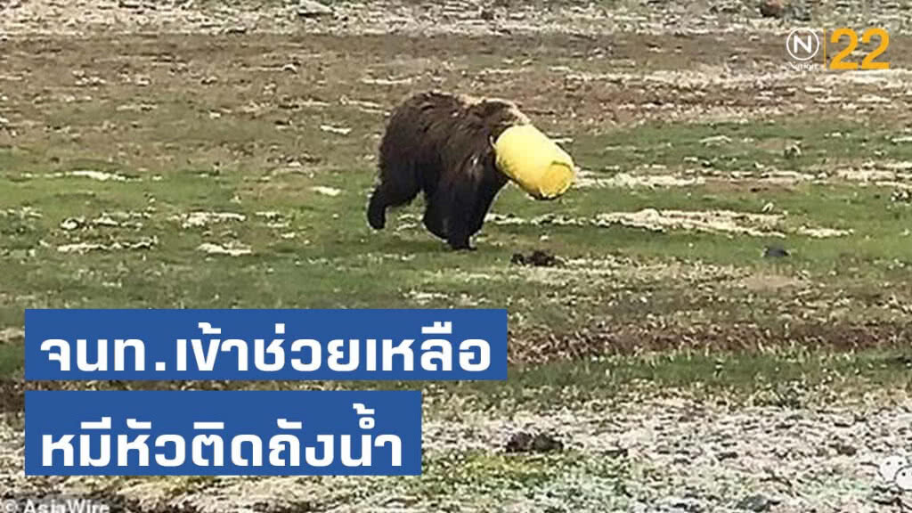 สุดสงสาร! จนท.เข้าช่วยเหลือเจ้าหมีหัวติดถังน้ำ สุดสงสาร! จนท.เข้าช่วยเหลือเจ้าหมีหัวติดถังน้ำ