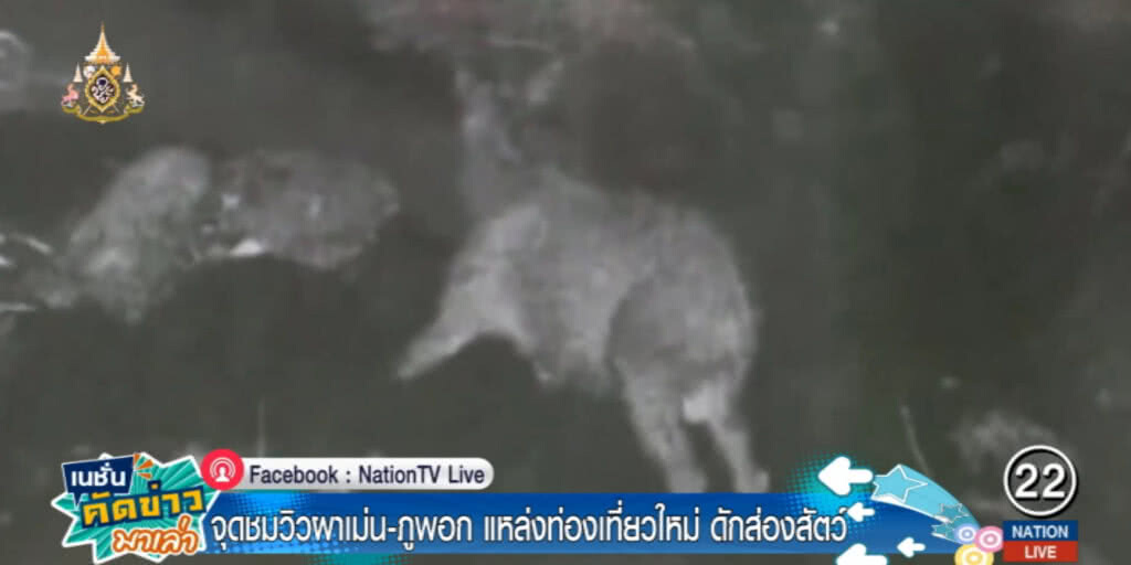 เล็งเปิดจุดชมวิว "ผาเม่น-เขาพอก" เป็นจุดส่องสัตว์ และแหล่งท่องเที่ยวใหม่