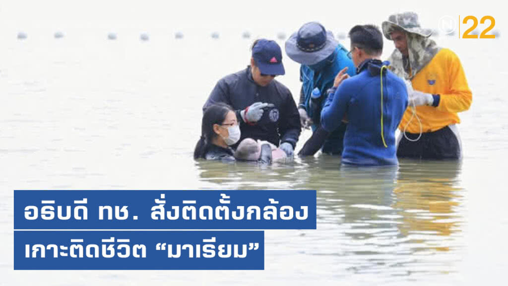 อธิบดี ทช.​ สั่งติดตั้งกล้องไลฟ์สดเกาะติดชีวิตมาเรียม พะยูนน้อย