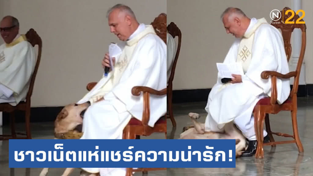 ชาวเน็ตแห่แชร์ความน่ารัก! "ทูตสวรรค์สี่ขา" ชาวเน็ตแห่แชร์ความน่ารัก! "ทูตสวรรค์สี่ขา"