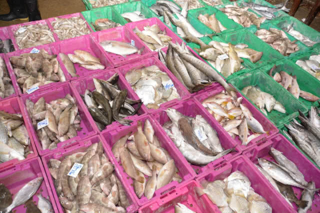 พาณิชย์ลงพื้นที่ตรวจตลาดสินค้าประมง มั่นใจปลอด IUU