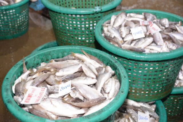 พาณิชย์ลงพื้นที่ตรวจตลาดสินค้าประมง มั่นใจปลอด IUU