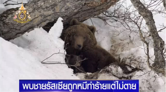ปาฏิหาริย์มีจริง!....หลังชายรัสเซีย ถูกหมีทำร้าย แต่ไม่ตาย