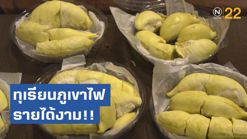 ทุเรียนภูเขาไฟ รายได้งาม!! เข้าจังหวัดกว่า 30 ล้านบาท