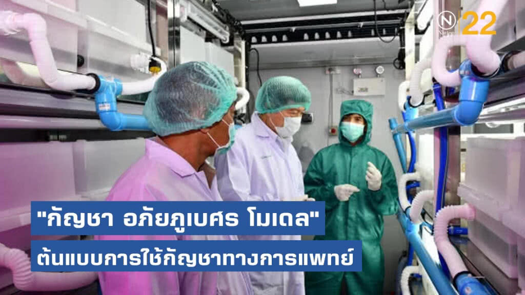 "อภัยภูเบศร โมเดล" ต้นแบบการใช้กัญชาทางการแพทย์ เน้นมาตรฐาน ความปลอดภัย
