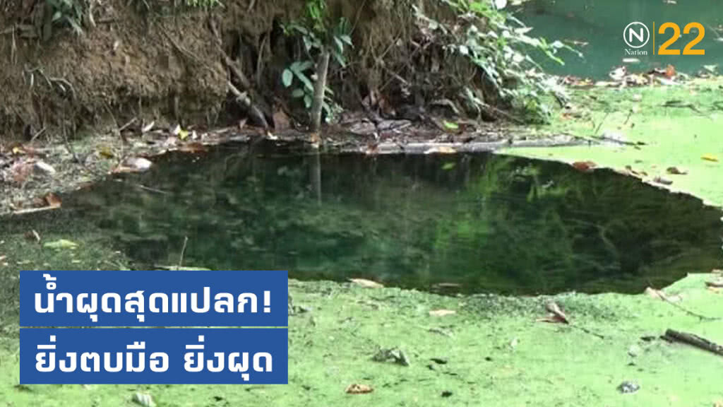 น้ำผุดสุดแปลก! ยิ่งตบมือยิ่งผุด น้ำผุดสุดแปลก! ยิ่งตบมือยิ่งผุด