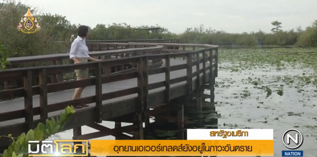 "เอเวอร์เกลดส์" แหล่งมรดกโลก ถูกคุกคามจนอยู่ในภาวะอันตราย "เอเวอร์เกลดส์" แหล่งมรดกโลก ถูกคุกคามจนอยู่ในภาวะอันตราย