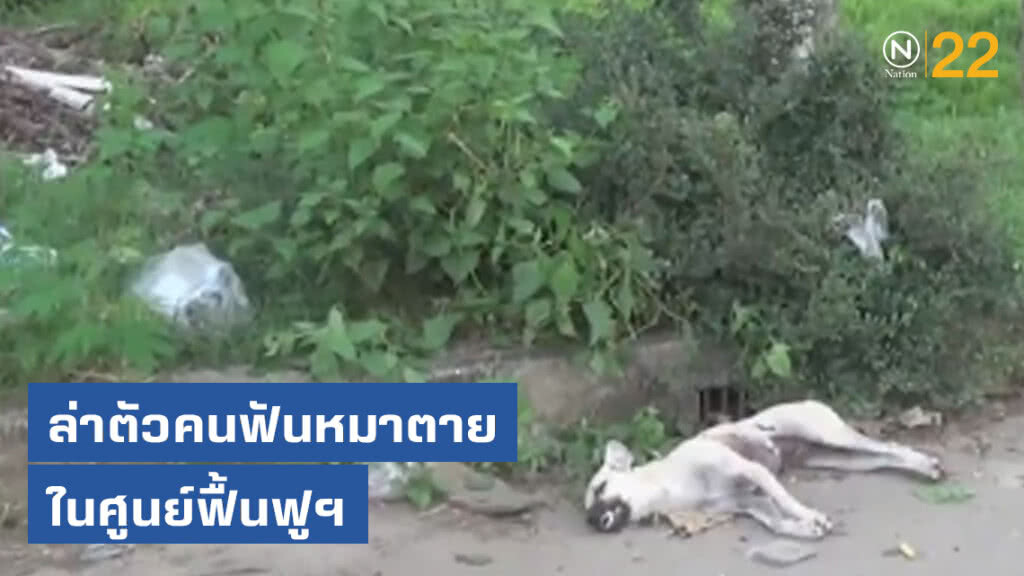 ล่าตัวคนร้ายฟันหมาตาย ในศูนย์ฟื้นฟูฯ ล่าตัวคนร้ายฟันหมาตาย ในศูนย์ฟื้นฟูฯ