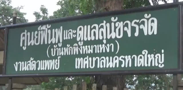 ล่าตัวคนร้ายฟันหมาตาย ในศูนย์ฟื้นฟูฯ