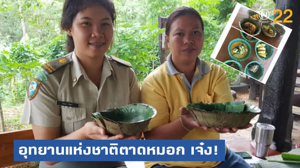 อุทยานแห่งชาติตาดหมอก เจ๋ง! ผลิตบรรจุภัณฑ์จากใบไม้ ลดภาวะโลกร้อนฯ