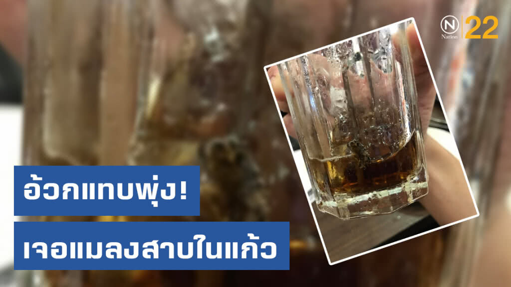 หนุ่มผง่ะ! กินปิ้งย่างร้านดัง เจอแมลงสาบในแก้วน้ำ ซ้ำร้านไม่มีการขอโทษใดๆ